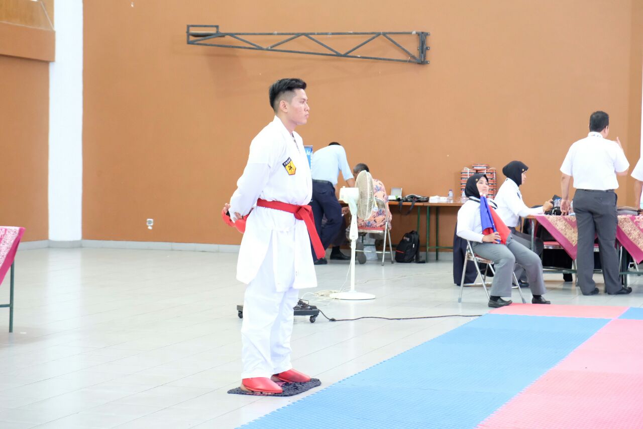 Foto Porda karate 2017